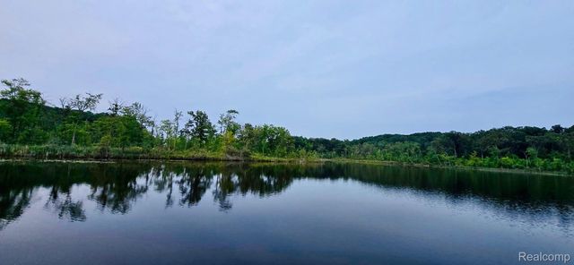 11315 HILLSIDE, Putnam Twp, MI 48169