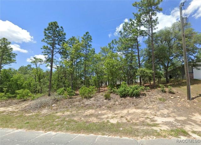 3065 W Sharpes Drive, Citrus Springs, FL 34433