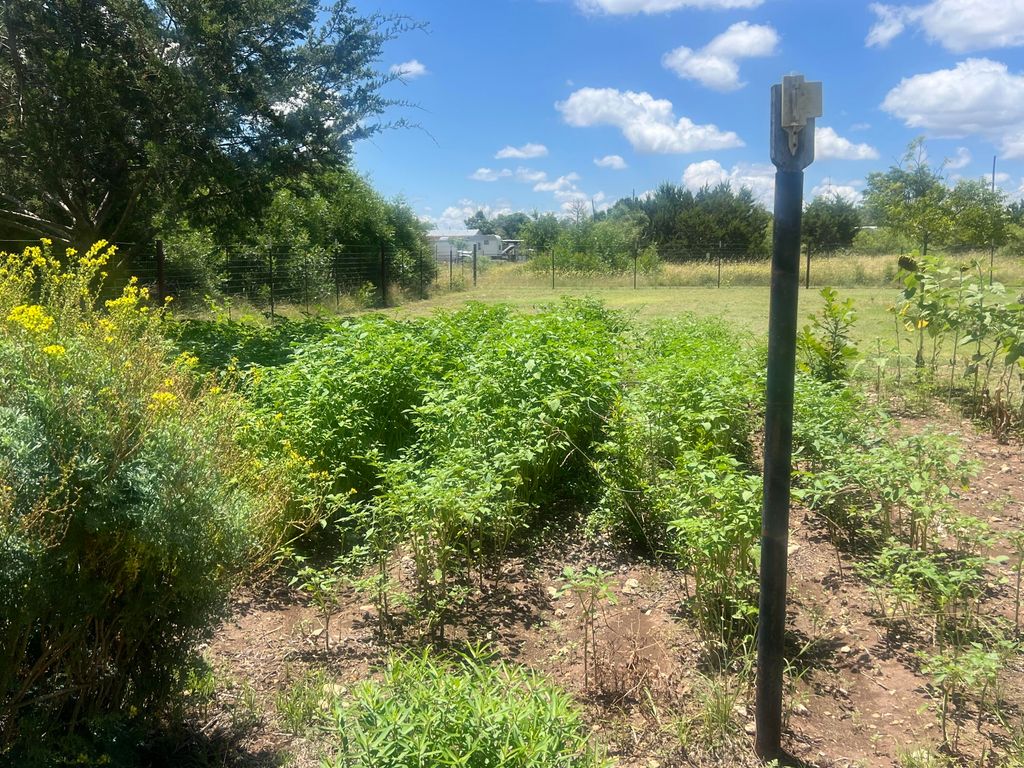 Image 11 of property listing at 604 Hall Street, Eldorado, TX 76936