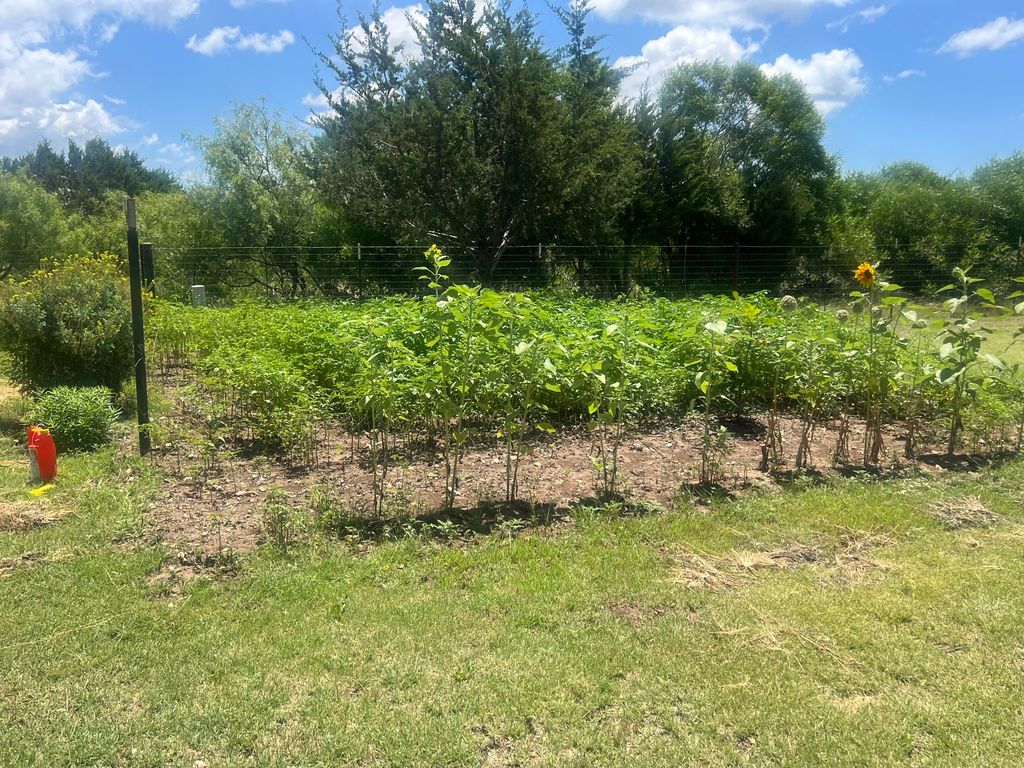 Image 9 of property listing at 604 Hall Street, Eldorado, TX 76936