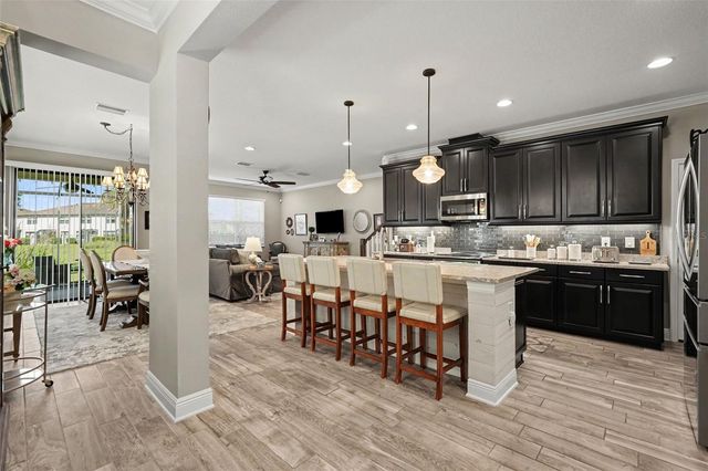 30329 SOUTHWELL LANE, Wesley Chapel, FL 33543