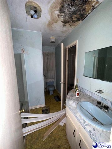 348 Peter, Lake City, SC 29560