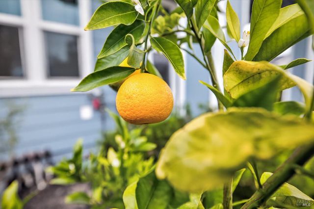 1145 Portello Ln, Windsor, CA 95492