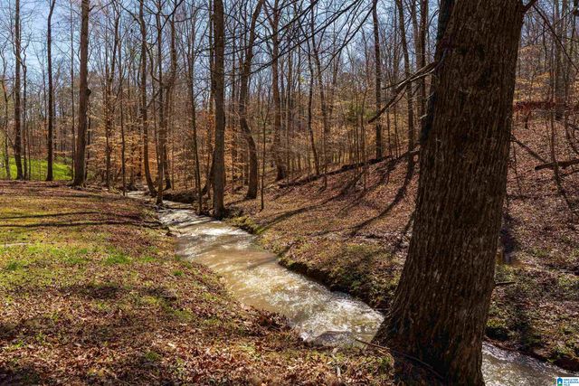 8560 PINE MOUNTAIN ROAD, Pinson, AL 35126