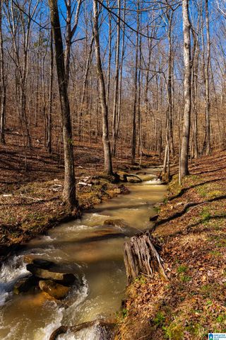 8560 PINE MOUNTAIN ROAD, Pinson, AL 35126