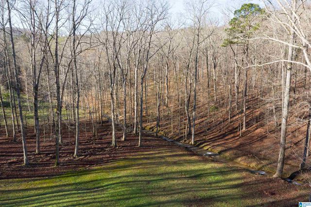 8560 PINE MOUNTAIN ROAD, Pinson, AL 35126