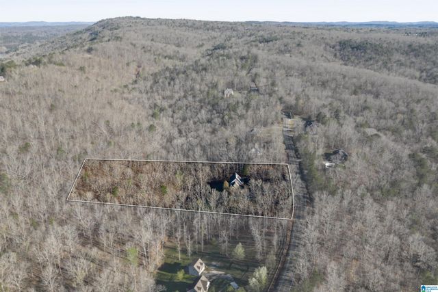 8560 PINE MOUNTAIN ROAD, Pinson, AL 35126