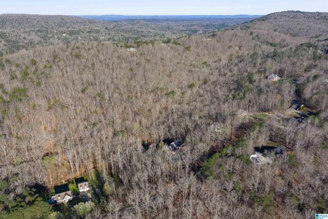 8560 PINE MOUNTAIN ROAD, Pinson, AL 35126