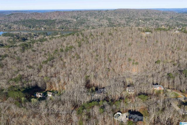 8560 PINE MOUNTAIN ROAD, Pinson, AL 35126