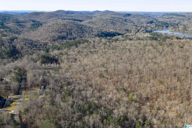 8560 PINE MOUNTAIN ROAD, Pinson, AL 35126