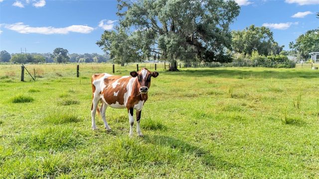 606 MORGAN ROAD, Winter Haven, FL 33880