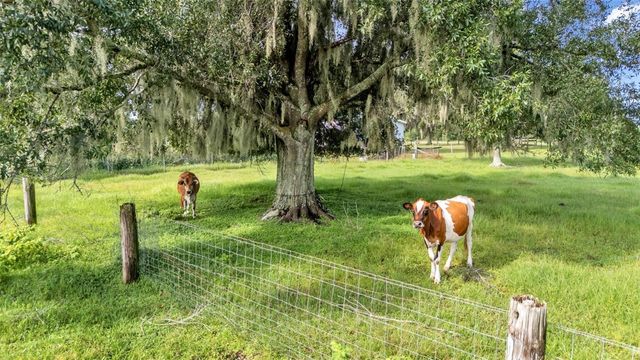 606 MORGAN ROAD, Winter Haven, FL 33880