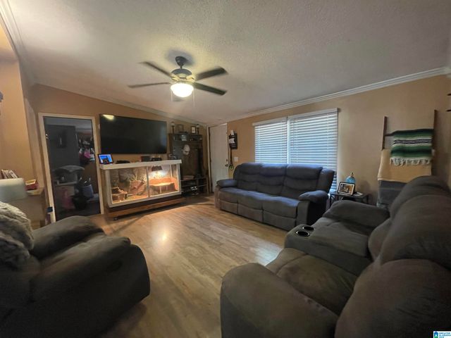 2650 RAY STREET, Birmingham, AL 35224