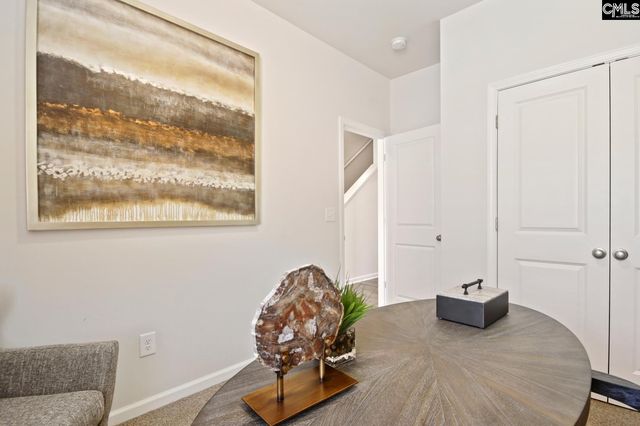 513 Chrome Horse Lane Lane, Lexington, SC 29073