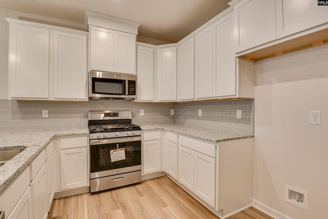 513 Chrome Horse Lane Lane, Lexington, SC 29073