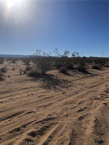 1 Pampas, 29 Palms, CA 92277