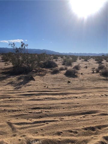 1 Pampas, 29 Palms, CA 92277