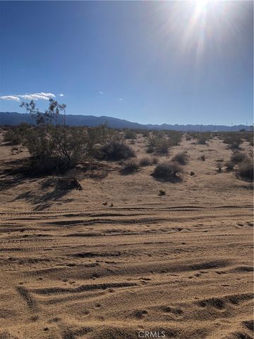 1 Pampas, 29 Palms, CA 92277