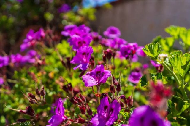 4626 Greenmeadows Avenue, Torrance, CA 90505