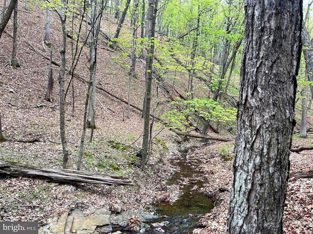 148 ACS PARRILL HOLW, Burlington, WV 26710