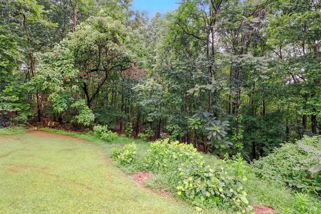 199 Braxton Ridge Road, Amherst, VA 24521