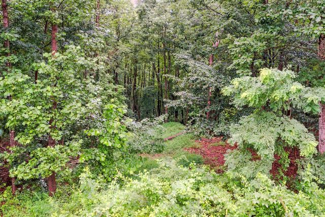 199 Braxton Ridge Road, Amherst, VA 24521