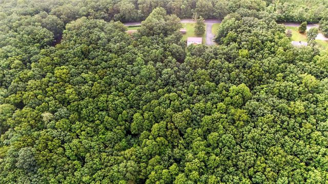 199 Braxton Ridge Road, Amherst, VA 24521
