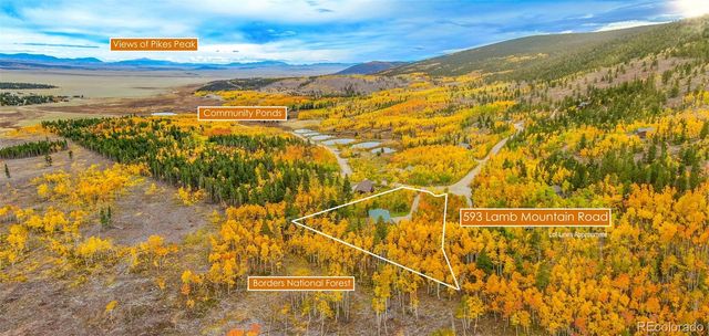 593 Lamb Mountain Road, Fairplay, CO 80440