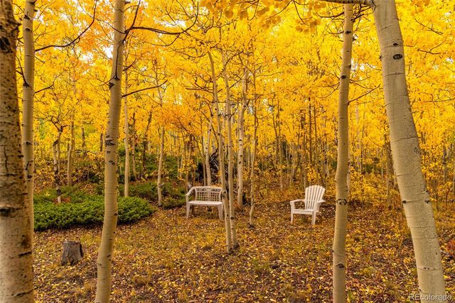 593 Lamb Mountain Road, Fairplay, CO 80440