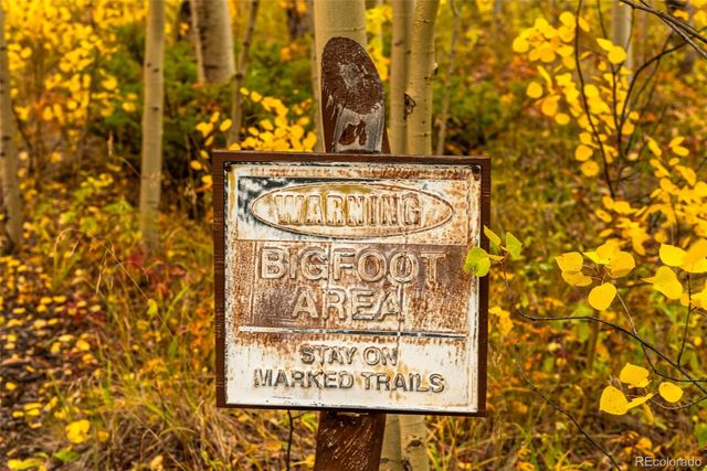 593 Lamb Mountain Road, Fairplay, CO 80440