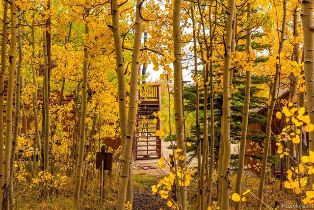 593 Lamb Mountain Road, Fairplay, CO 80440