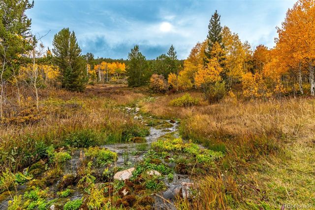 593 Lamb Mountain Road, Fairplay, CO 80440