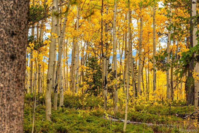 593 Lamb Mountain Road, Fairplay, CO 80440