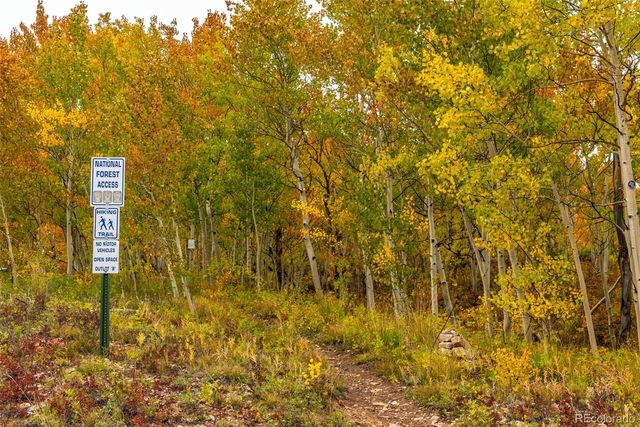 593 Lamb Mountain Road, Fairplay, CO 80440