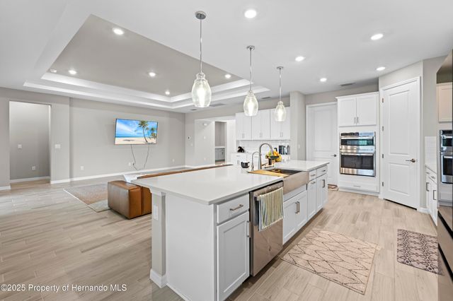 2347 Overfalls Place, Wesley Chapel, FL 33543