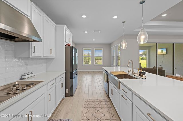 2347 Overfalls Place, Wesley Chapel, FL 33543