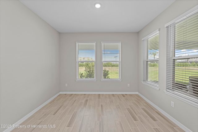2347 Overfalls Place, Wesley Chapel, FL 33543