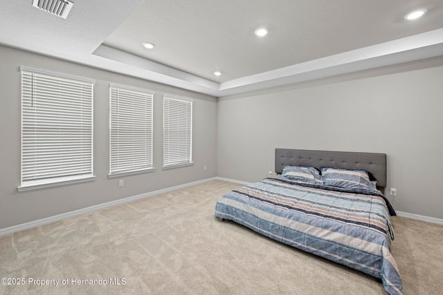 2347 Overfalls Place, Wesley Chapel, FL 33543