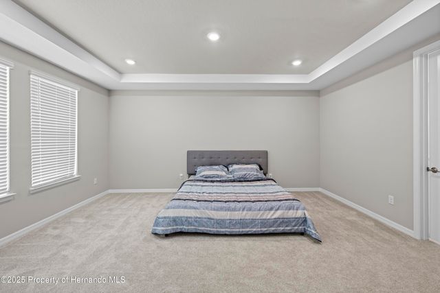 2347 Overfalls Place, Wesley Chapel, FL 33543
