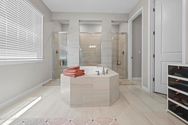 2347 Overfalls Place, Wesley Chapel, FL 33543