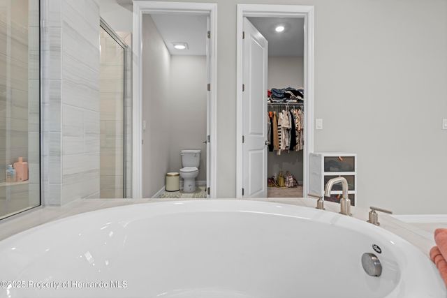 2347 Overfalls Place, Wesley Chapel, FL 33543