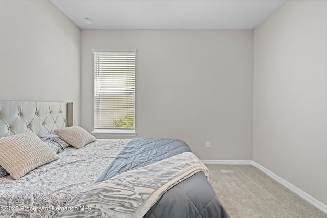 2347 Overfalls Place, Wesley Chapel, FL 33543