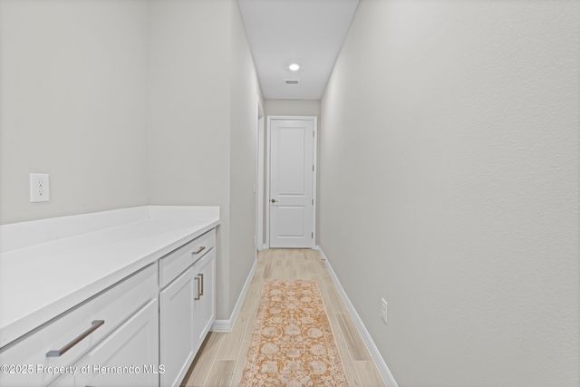 2347 Overfalls Place, Wesley Chapel, FL 33543