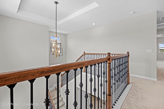 2347 Overfalls Place, Wesley Chapel, FL 33543