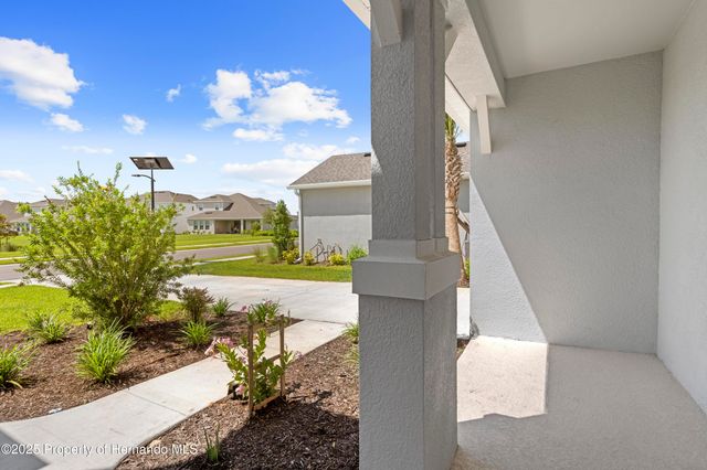 2347 Overfalls Place, Wesley Chapel, FL 33543