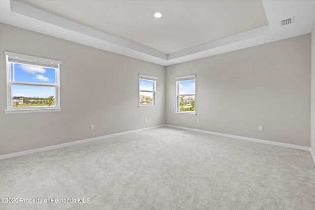 2347 Overfalls Place, Wesley Chapel, FL 33543