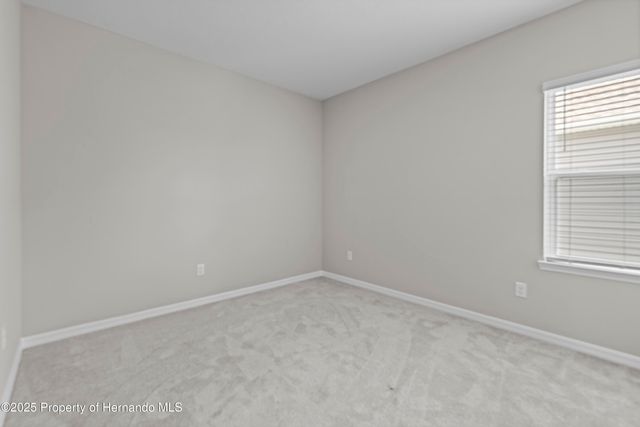 2347 Overfalls Place, Wesley Chapel, FL 33543