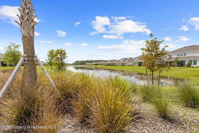 2347 Overfalls Place, Wesley Chapel, FL 33543
