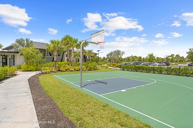 2347 Overfalls Place, Wesley Chapel, FL 33543