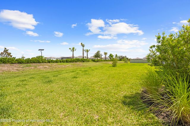 2347 Overfalls Place, Wesley Chapel, FL 33543